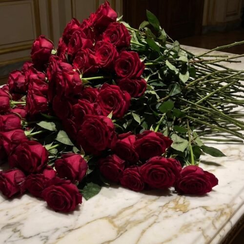 A_massive_opulent_202602021057 50 Plain Roses