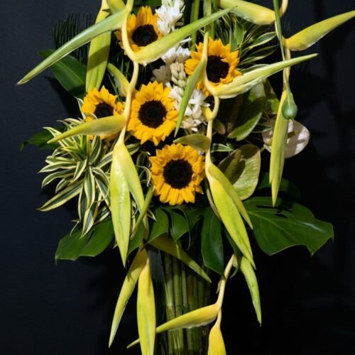 IMG-20260318-WA0007 Sympathy