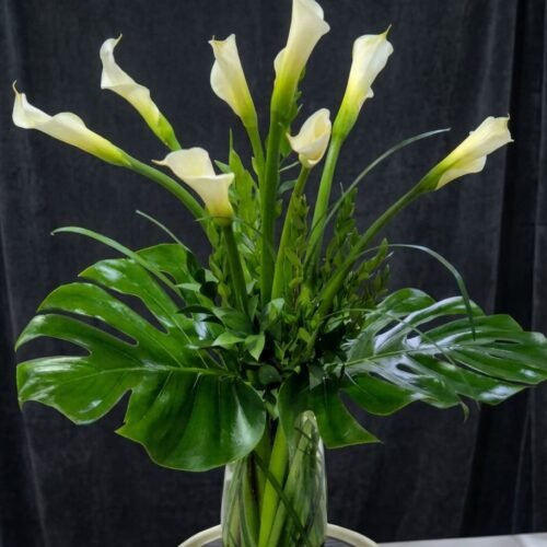 IMG-20260318-WA0011 Sympathy